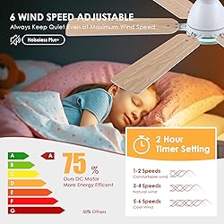 Ceiling Fans with Lights- 52" RGB Low Profile