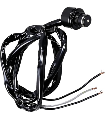 soll② Amazon.com: KUNOANZ 278002325 3-Wire Safety Switch for Sea-Doo