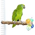 Bird Toys Perch with Rotating Balls,Parrot Foraging Toy,Fruit Vegetable Holder Feeder for Small Medium Parrots (11.8inch Long)