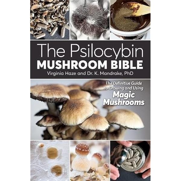 洋書 Mushrooms Mushrooms – Mother Earth News