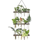 Mkono Plant Propagation Tubes, 3 Tiered Wall Hanging Terrarium with Wooden Stand Mini Test Tube Flower Vase Glass Planter Stations for Hydroponic Cutting Home Garden Office Decor Plant Lover Gift