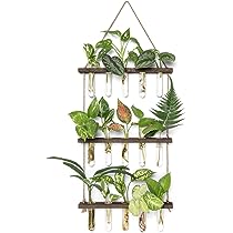 thumbnail image 2 of 4 Set Plant Propagation Test Tubes With Wooden Stand - Water Propagation Station For Indoor Plants 2 of 10
