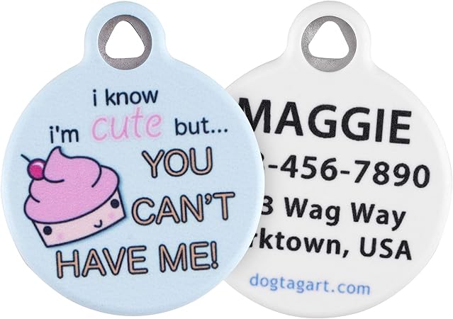 name tags for dogs amazon