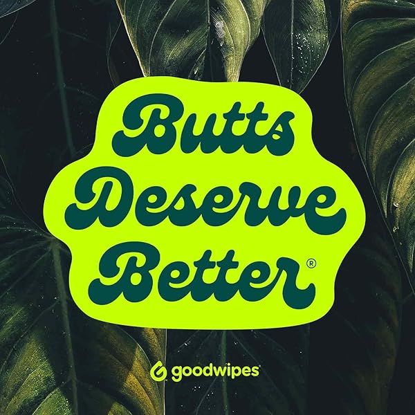 GOODWIPES FLUSHABLE & PLANT-BASED WIPES WITH BOTANICALS | DISPENSER FOR AT-HOME USE | SHEA-COCO WITH ALOE SEPTIC AND SEWER SAFE | 60 COUNT (1 PACK) – BIGGEST ADULT WIPES