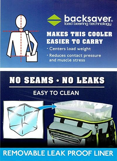 CALIFORNIA INNOVATIONS - Nevera portátil con Capacidad para 60 ...