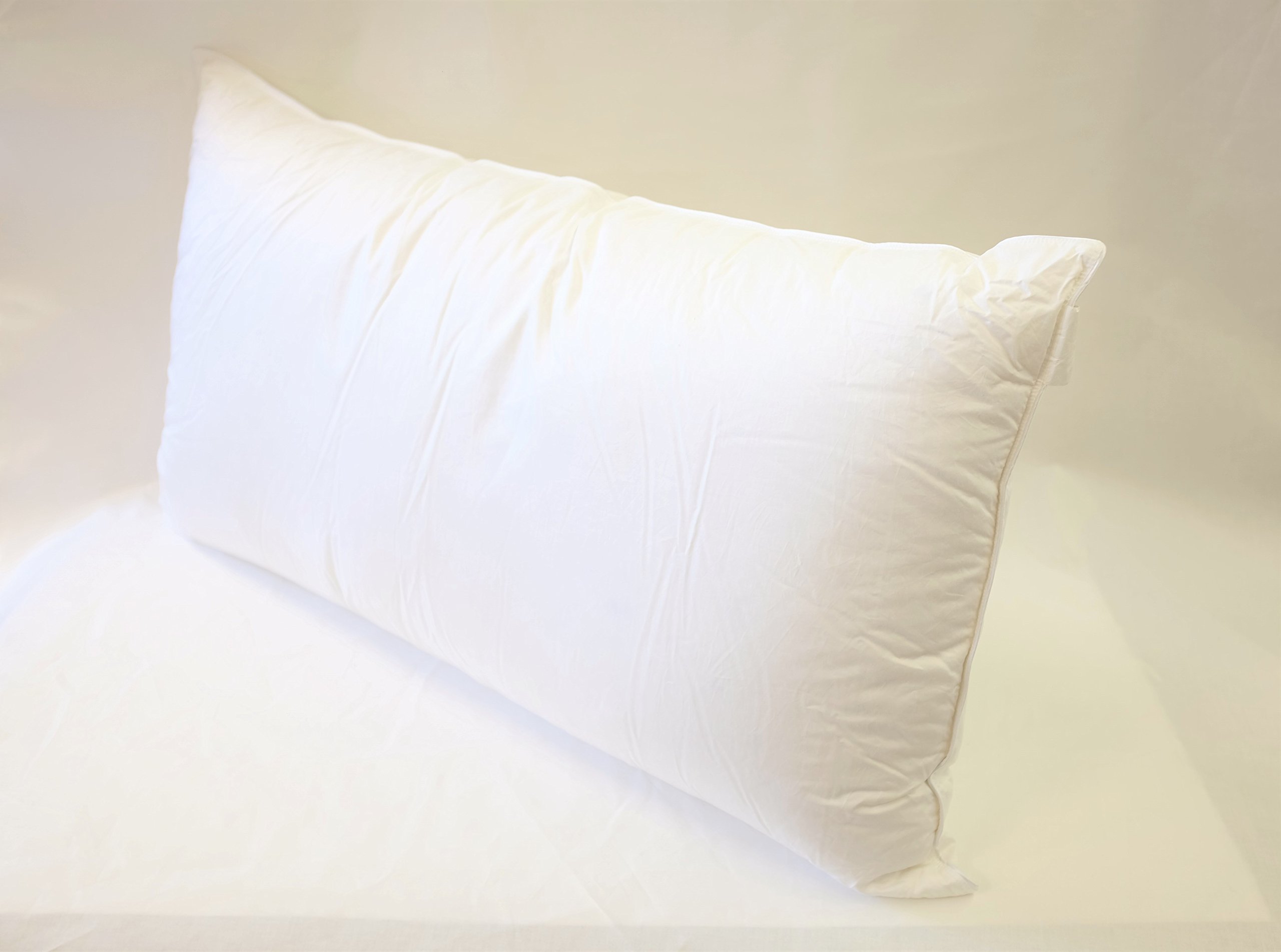 European 800 Fill Power White Goose Down Pillow. (King) eBay