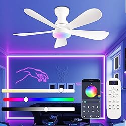 NKPU 42 Inch Ceiling Fans with Lights and