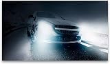 Philips WhiteVision Ultra H7 Headlight Bulb 4200K Pack of 2 Universal Fit view 4