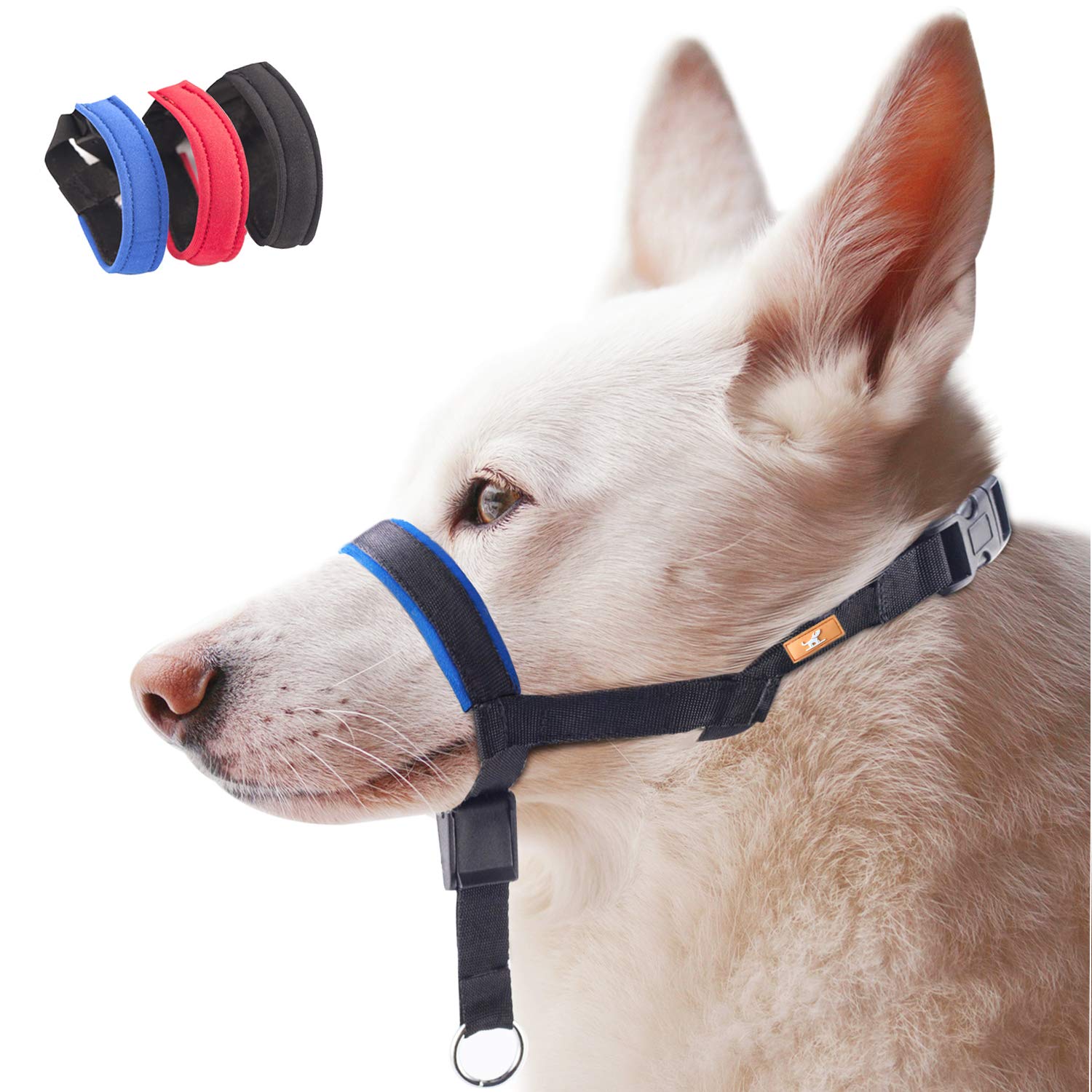 dog bridle headcollar