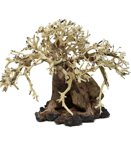 thumbnail image 2 of Bonsai Driftwood Aquarium Tree - 5 Inch Natural Handcrafted Fish Tank Decoration For Aquascaping 2 of 13