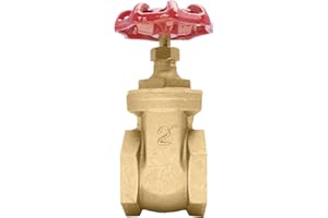 DURACHOICE 2" Brass Gate Valve - 200WOG, FxF NPT