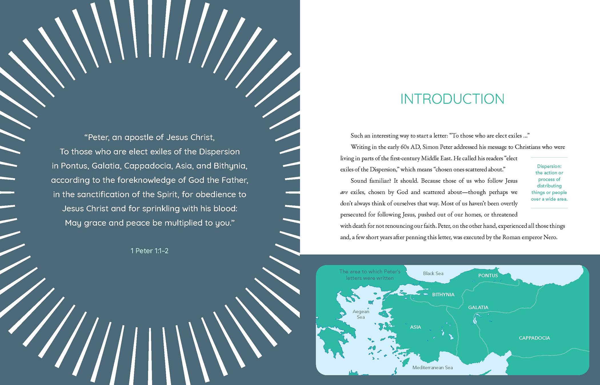God's Goodness for the Chosen: An Interactive Bible Study Season 4 (Volume 4) (The Chosen Bible Study Series)