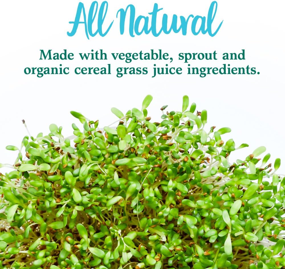 Garden of Life Whole Food Vegetable Supplement - Perfect Food Green Superfood Dietary Powder, 600g: Health & Personal Care