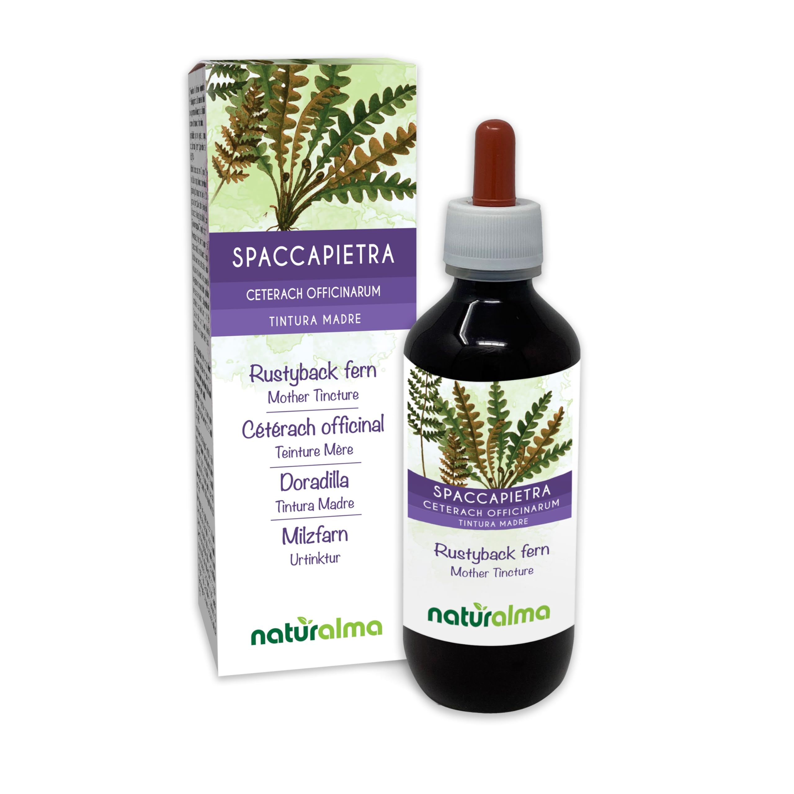 Rustyback Fern (Ceterach officinarum or Asplenium Ceterach) Leaves Alcohol-Free Mother Tincture Naturalma - Liquid Extract Drops 200 ml - Food Supplement - Vegan