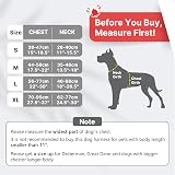 Belababy Dog Harness Reflective Front Clip No Pull Adjustable Black XL view 2