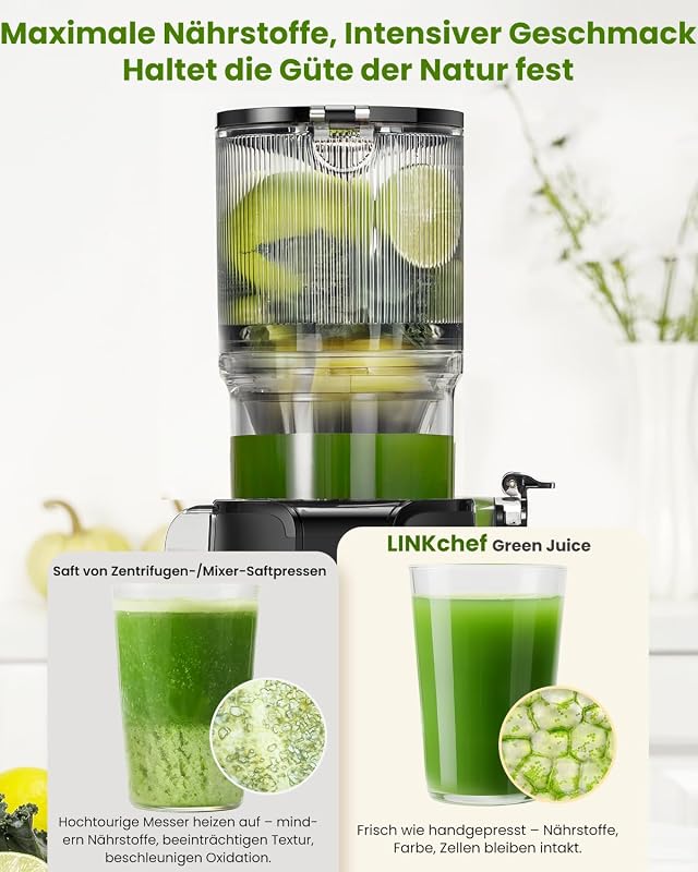 Entsafter Slow Juicer 200W Kaltentsafter für Obst & Gemüse