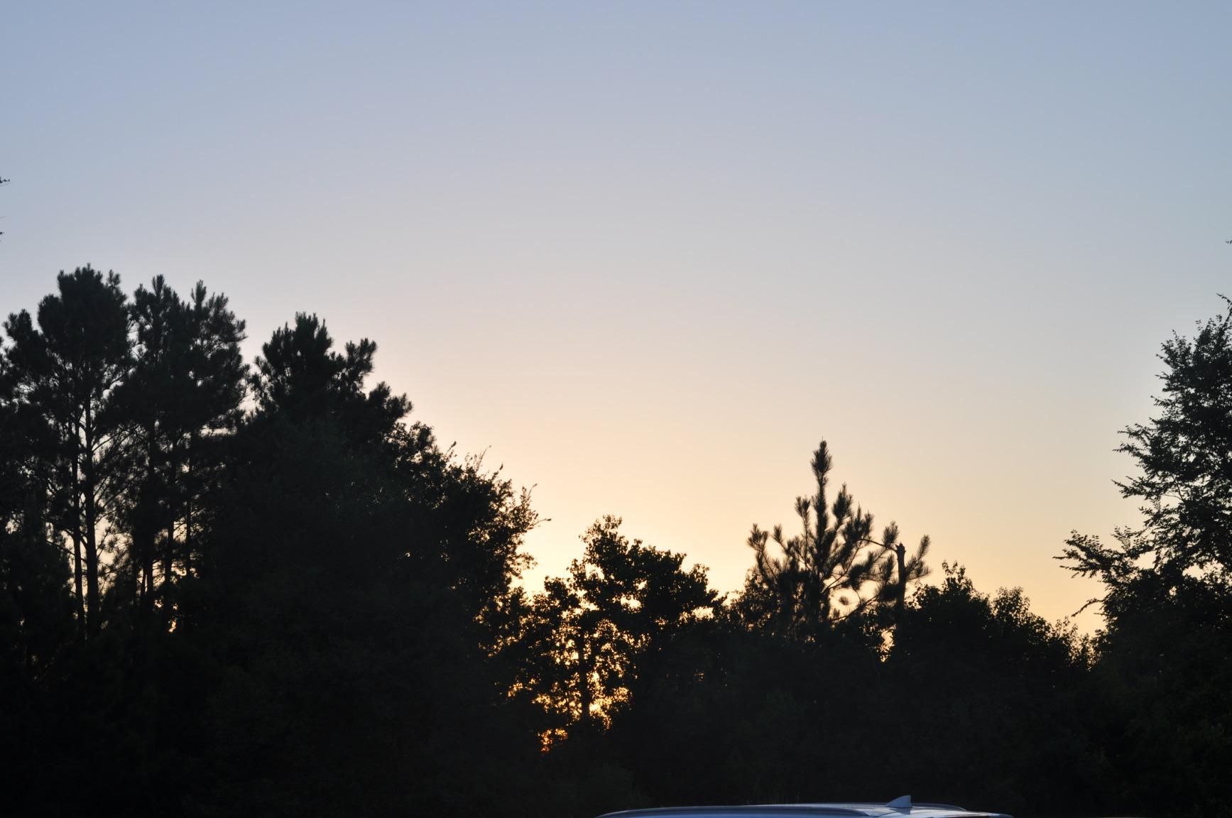 You can't beat the YONGNUO YN50mm F1.8N for the price.