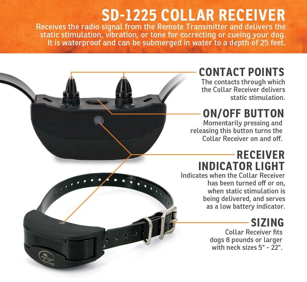 enzyme dental toothpaste