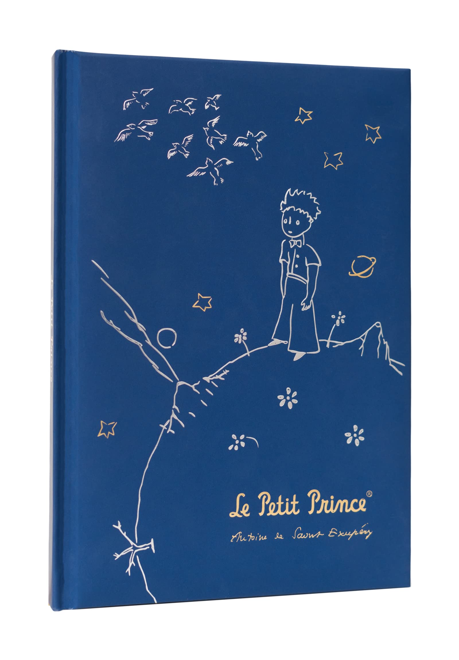 Grupo Erik A5 Notebook Hardback - The Little Prince | Blank Journal Note Book, Plain Notebook A5 Sketchbook | Le Petit Prince Cute Stationery Gifts
