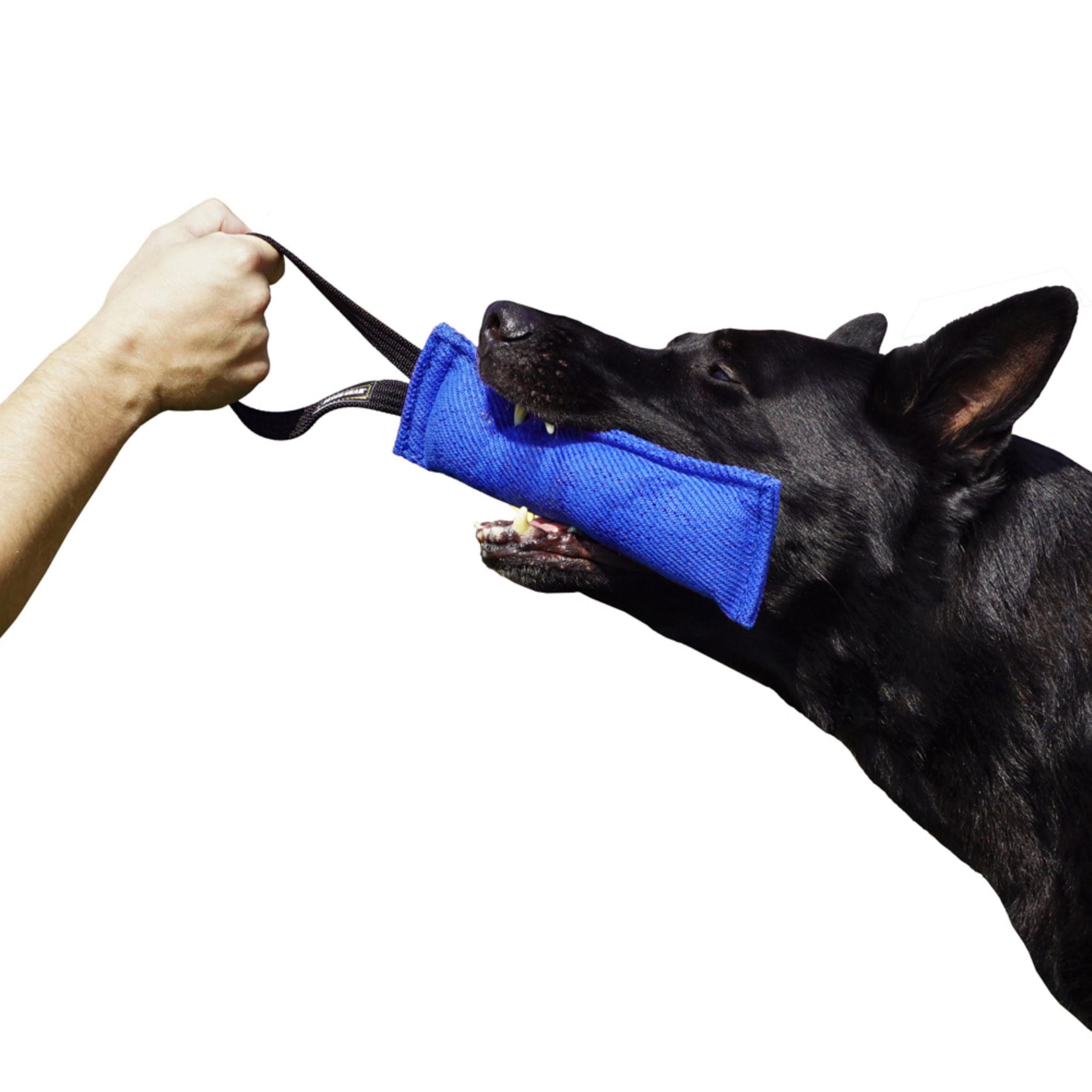 DINGO GEAR Bite Tug Toy for the Dog Training, K9, IGP, Schutzhund, Blind Search, Prey Drive, Fetch, Play, Handmade of Sturdy Nylcot, 1 Handle, Blue, Size - L (S00061)