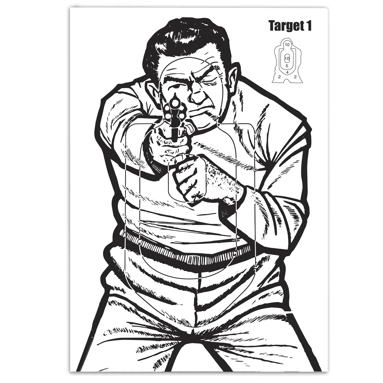 25 CARD TARGETS Air Rifle Pistol Targets Pellet A4 297 x 210mm 250gsm THICK CARD Shooting Training Practice Targets #148E