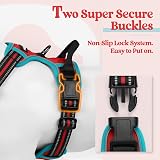 rabbitgoo Dog Harness Medium No Pull Front Back Reflective Adjustable Red Teal view 4