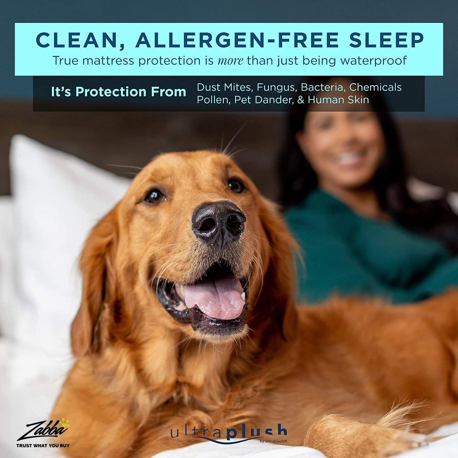 Ultra Plush 100% Waterproof Premium Mattress Protector, Luxuriously Soft and Comfortable, Protects Against Dust Mites and Allergens, Stretchable Deep Pocket Ensures Snug, Easy Fit (Queen Size): Home & Kitchen