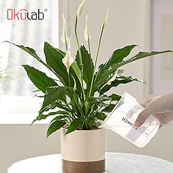 4 Pcs Plastic Beaker Set, 4pcs of