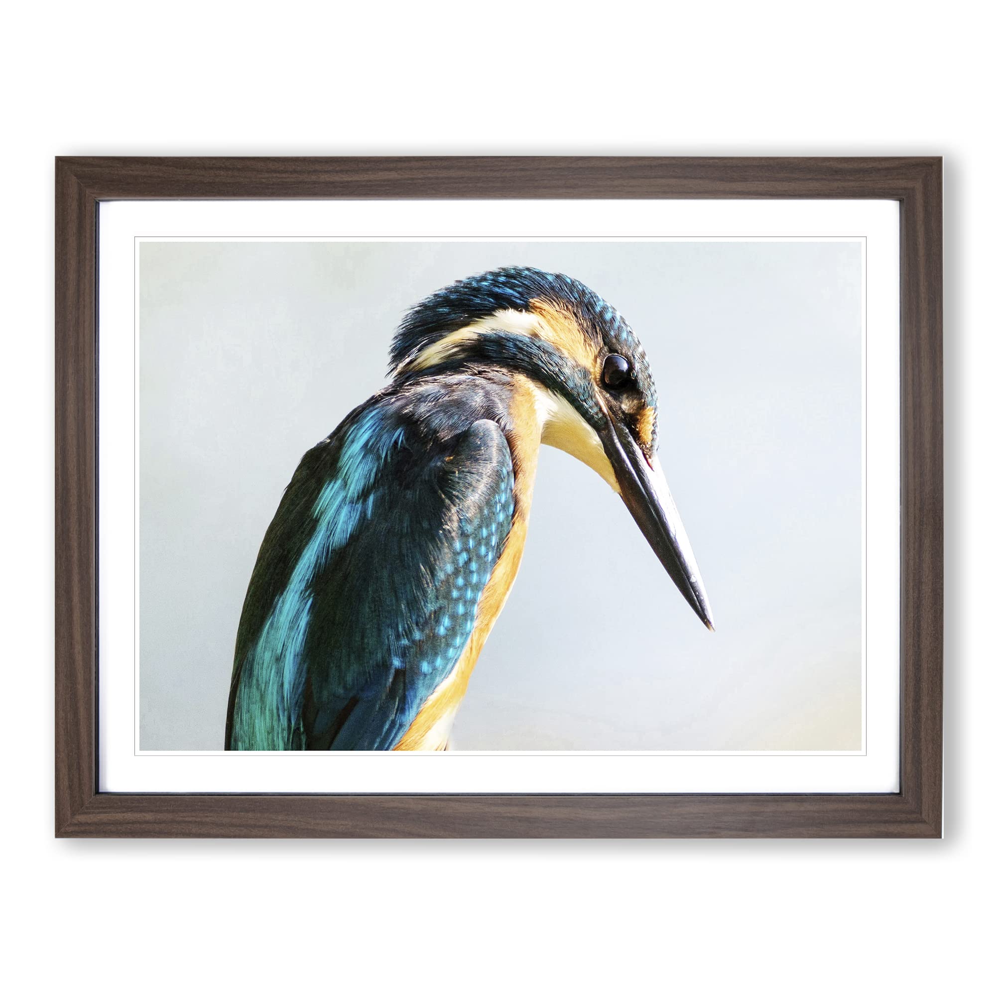 Kingfisher Bird 2 Modern Framed Wall Art Print, Ready to Hang Picture for Living Room Bedroom Home Office Décor, Walnut A4 (34 x 25 cm)
