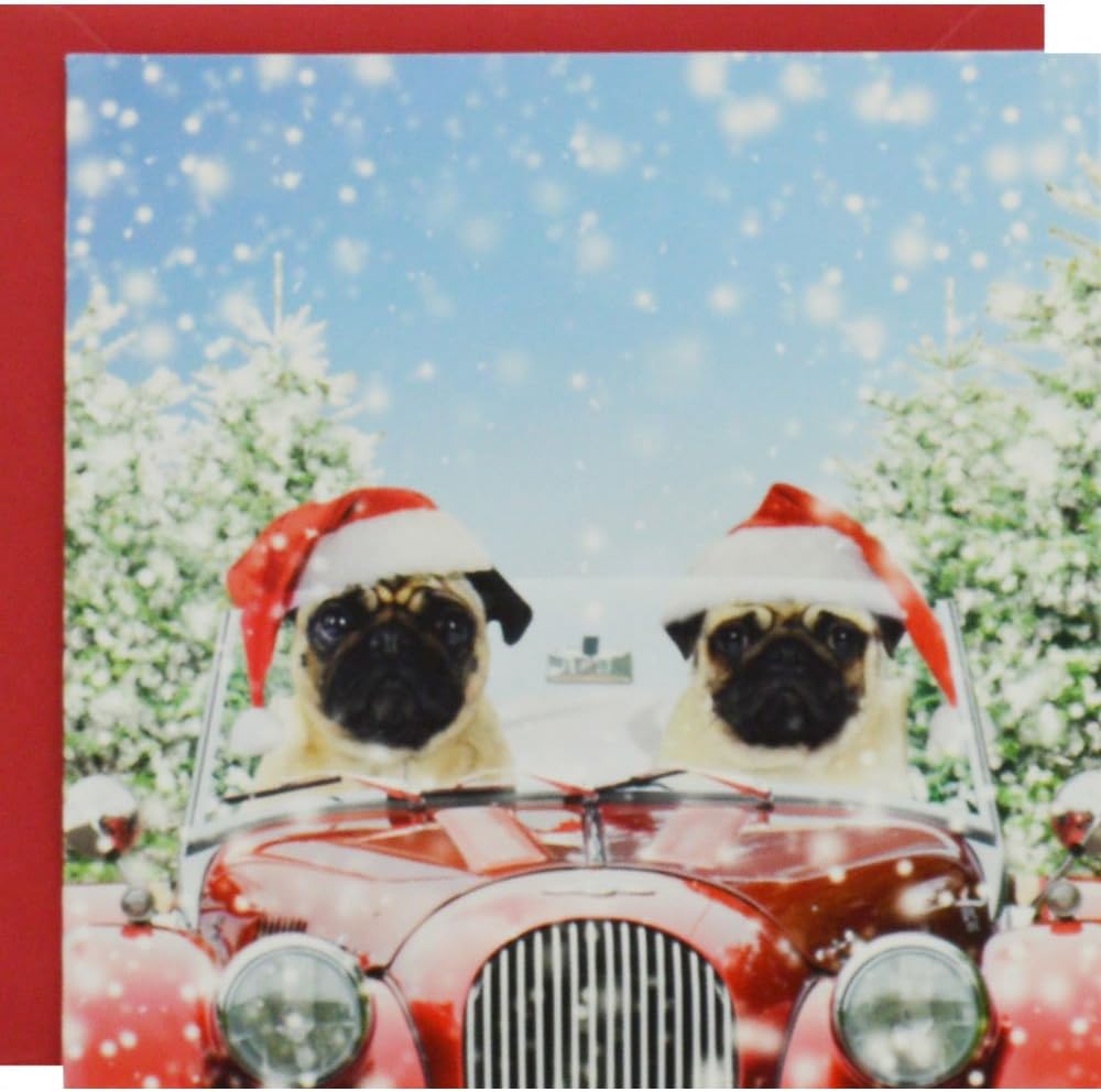 Pugs with Santa Hats Luxury Christmas Cards: Pack of 8