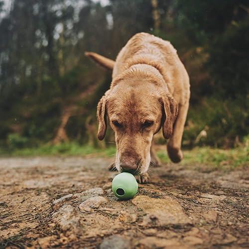 Beco Hollow Rubber Dog Ball Beco Fetch Ball – Natural Rubber