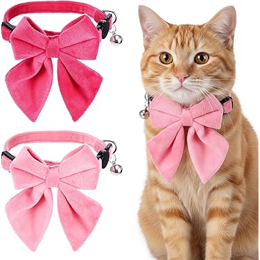 cat bow tie collar amazon