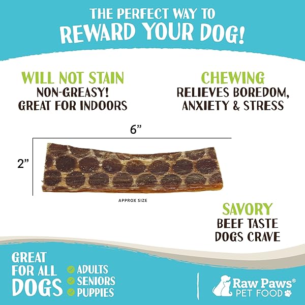 RAW PAWS BEEF ESOPHAGUS STRIPS FOR DOGS, 6-INCH (20-COUNT) – ALL NATURAL CHEWS – FREE-RANGE BEEF ESOPHAGUS STRIPS – DOG TAFFY CHEWS – SINGLE INGREDIENT CHEW FOR DOGS – COW JERKY TREATS