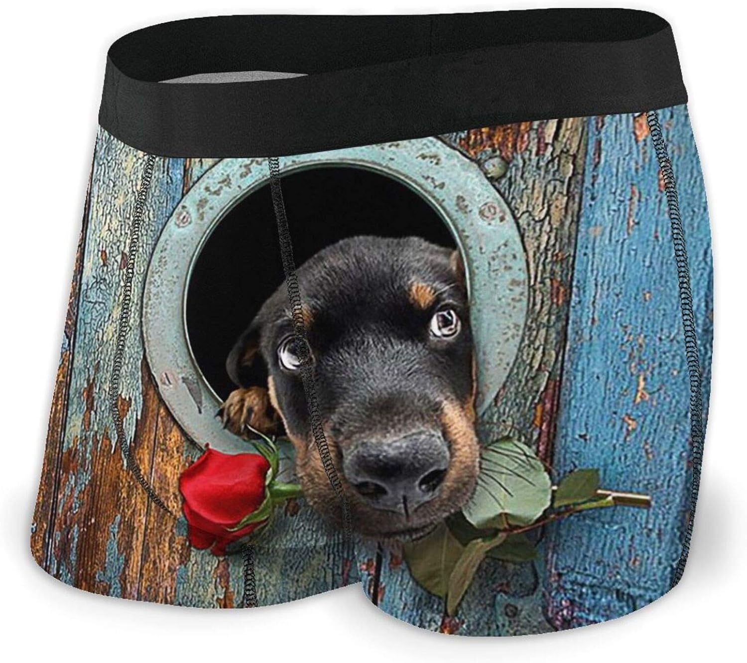 Mens Underwear Breathable, Vintage Animals Dog Mens Boxer Briefs Funny