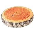 LANFIRE 3D Tree Wood Slice Memory Foam Soft Throw Cushion Log Pillow Doll Chair Seat Pad for Home Office Gingko Tree Fruit Cu