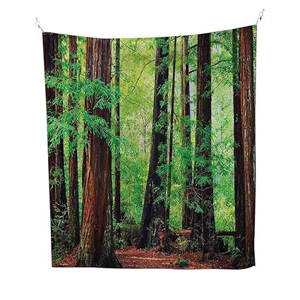 Amazon Com Tapestry Wall Hanging 60w X 80l Inch Home
