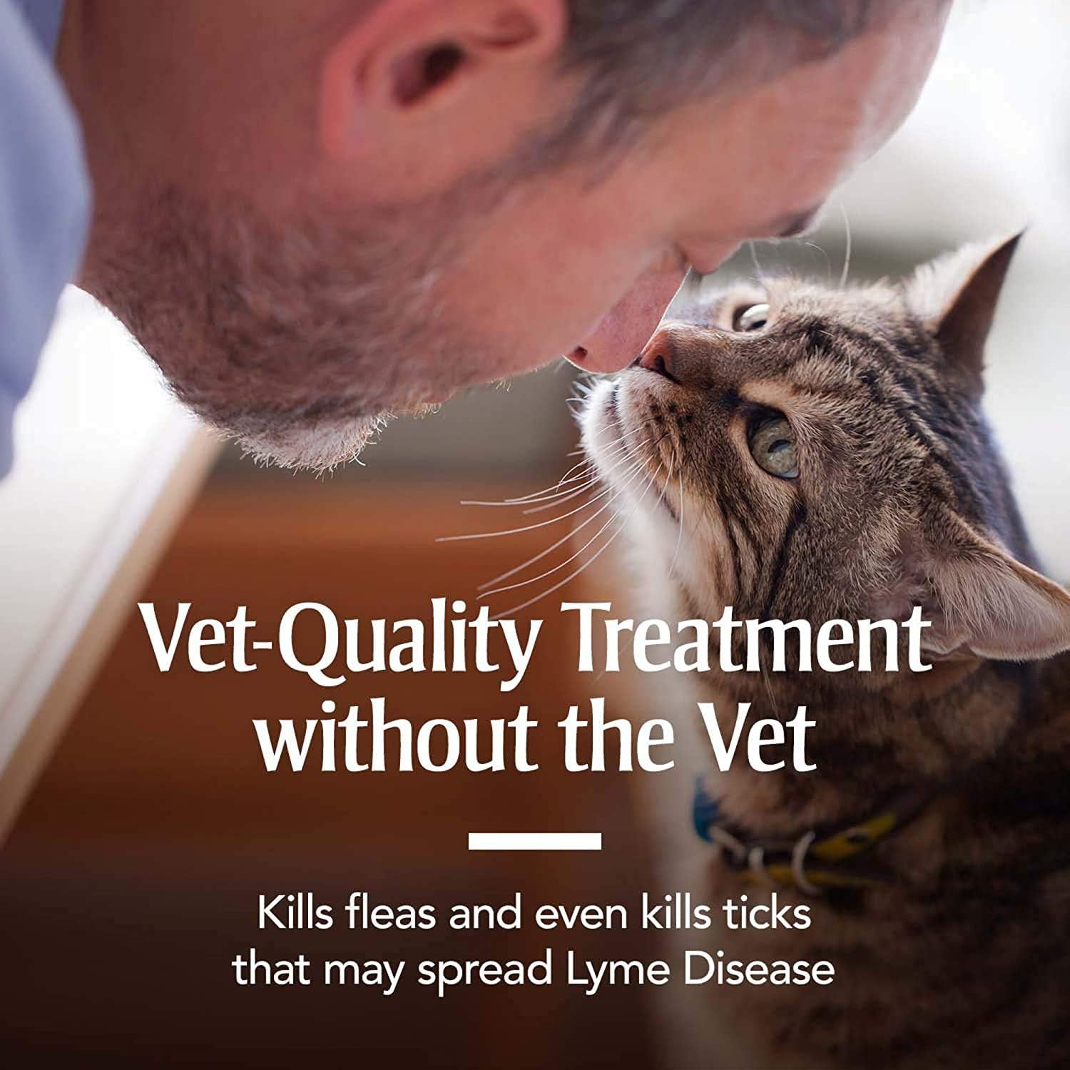 petarmor plus for kittens