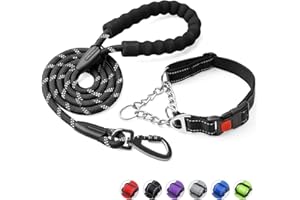 Duckygoo Dog Collar and Leash Set,Martingale Dog Collar with Quick Release Buckle,Reflective Dog Leash & Adjustable No Pull Dog Collar with Soft Breathable Neoprene Padded for Small Medium Large Dogs