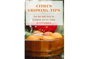 Citrus Growing Tips: The Ins And Outs Of Growing Citrus Trees In Containers