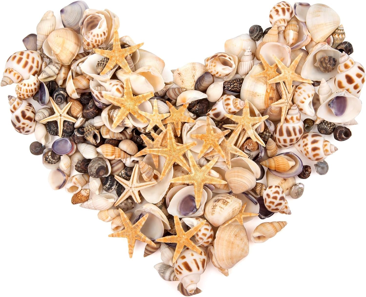 SKOOLOVE 450PCS Small Sea Shells and Mini Starfish Mixed Natural Seashells Bulk for Crafs Beach Painting Candle Making Fish Tank and Vase Fillers (180g)