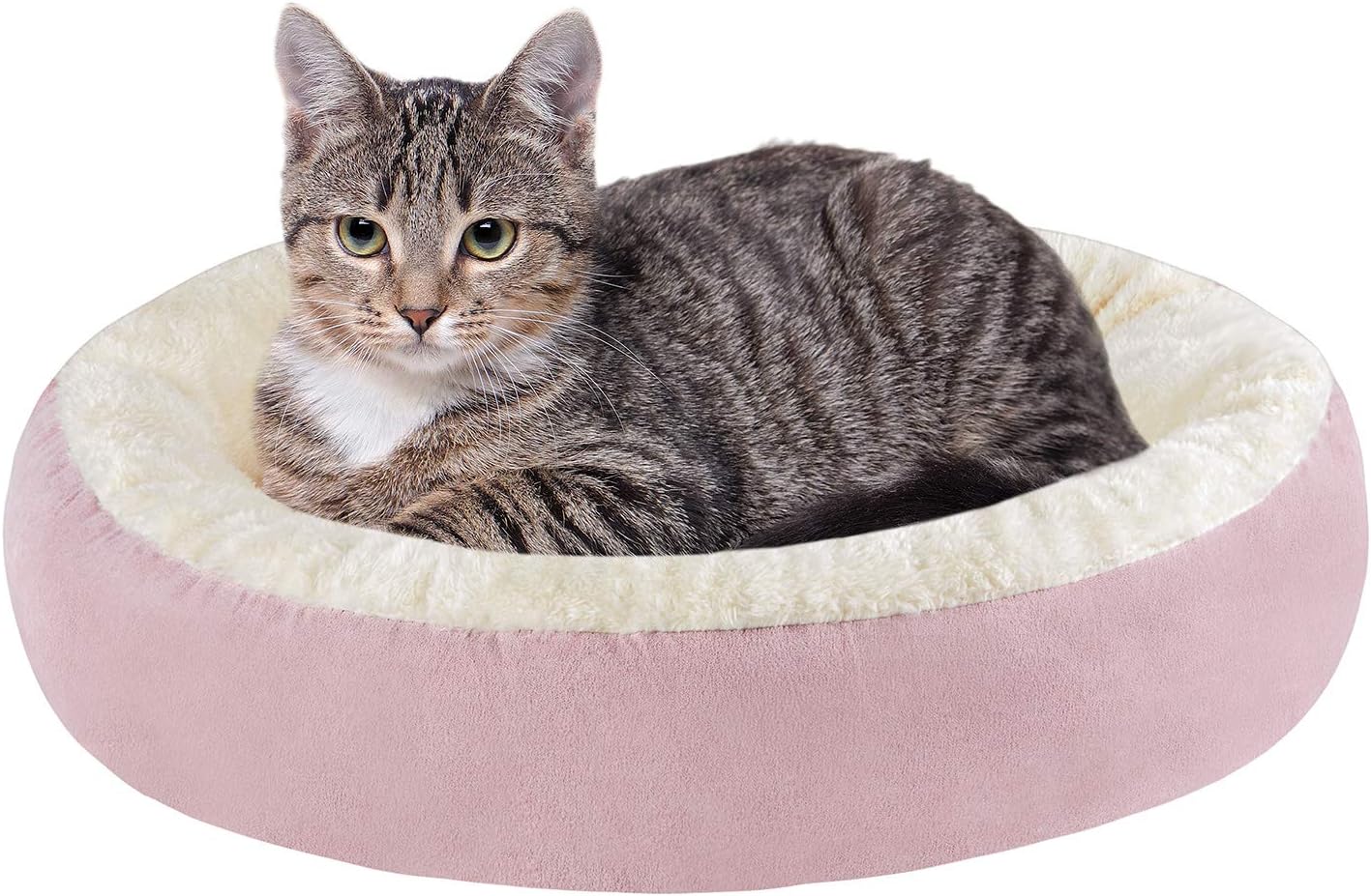 Tempcore Cat Bed for Indoor Cats, Machine Washable Cat Beds, 20 inch Pet Bed for Cats or Small Dogs, Anti-Slip & Water-Resistant Bottom : Pet Supplies