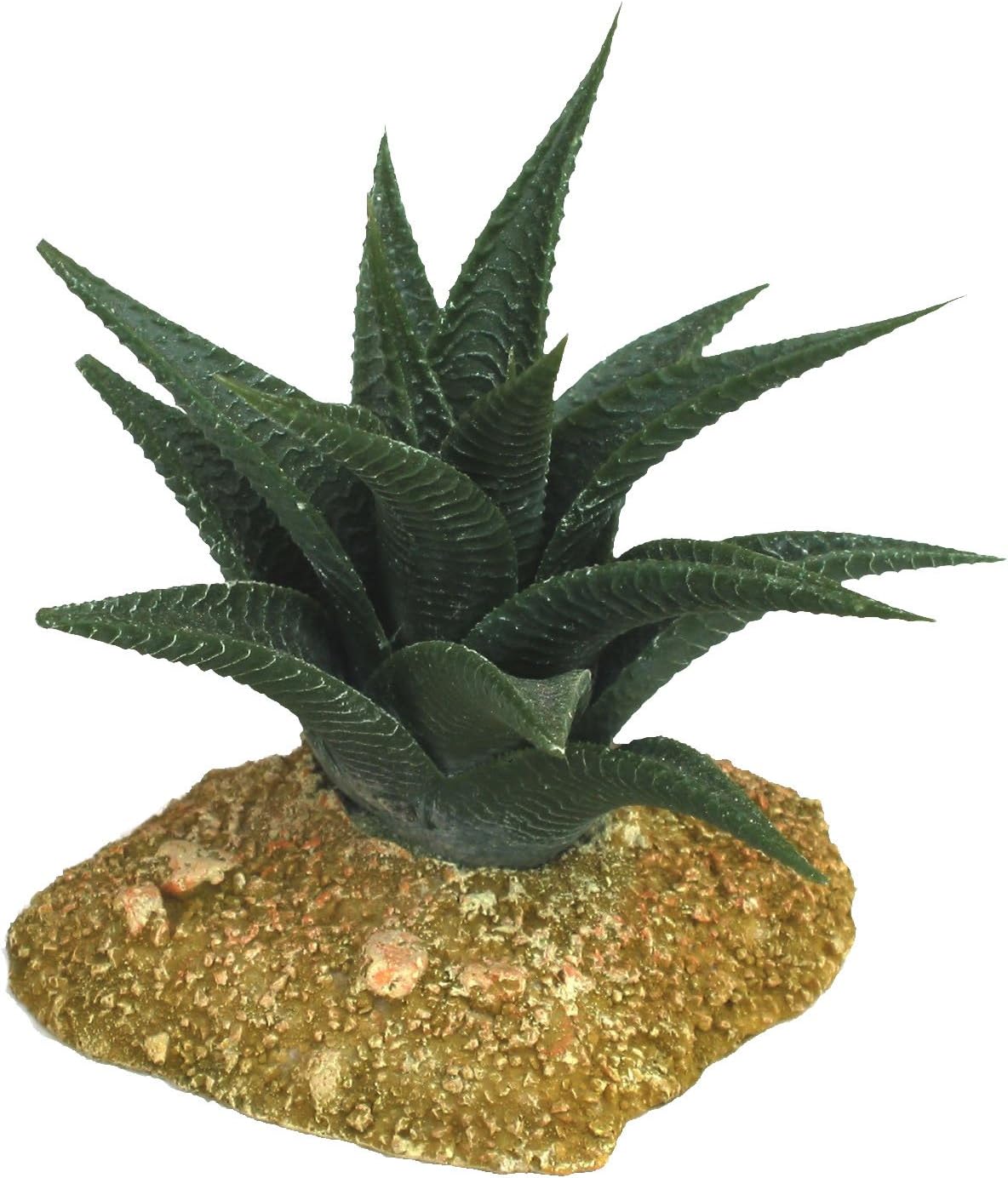 cactus aquarium decoration