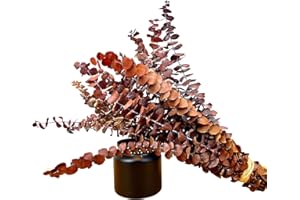 MOORCHOCO (20Pcs) Dried Eucalyptus Stems - Red, Fall Decorations for Home, Real Long Eucalyptus, Dried Flowers for Vase, 17" Floral Arrangement, Wedding (Orange)