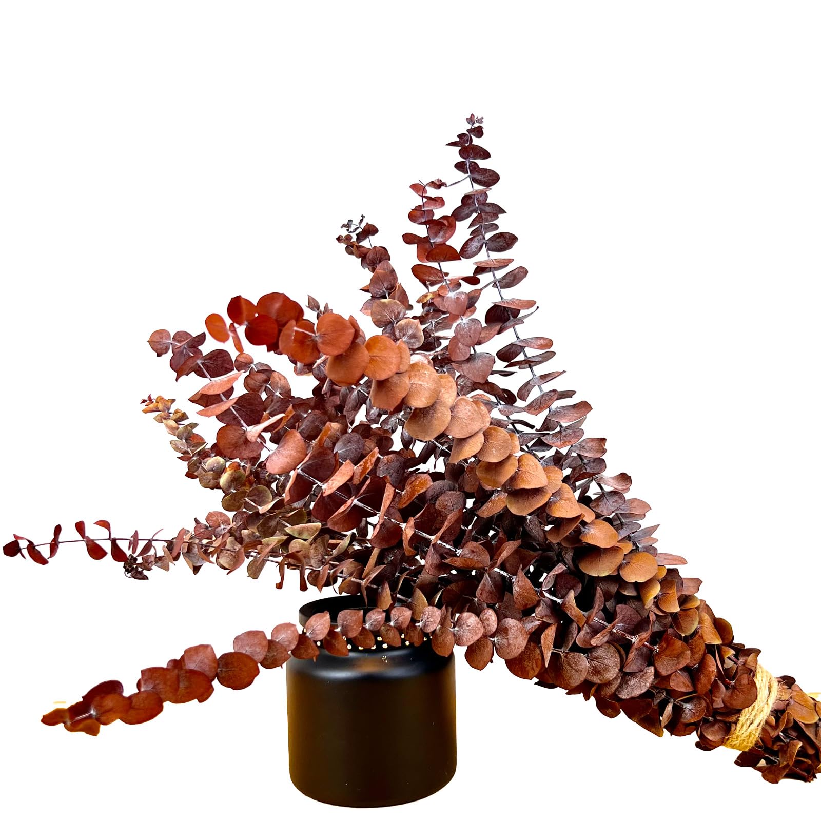 Photo 1 of (20Pcs) Dried Eucalyptus Stems - Red, Fall Decorations for Home, Real Long Eucalyptus, Dried Flowers for Vase, 17" Floral Arrangement, Wedding (Orange)