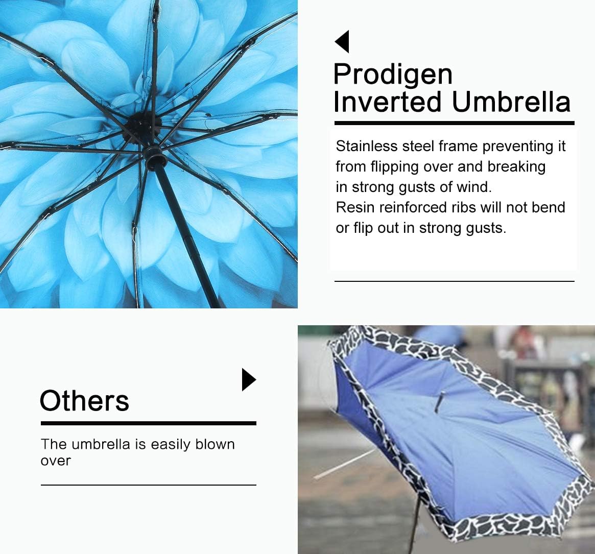 prodigen umbrella