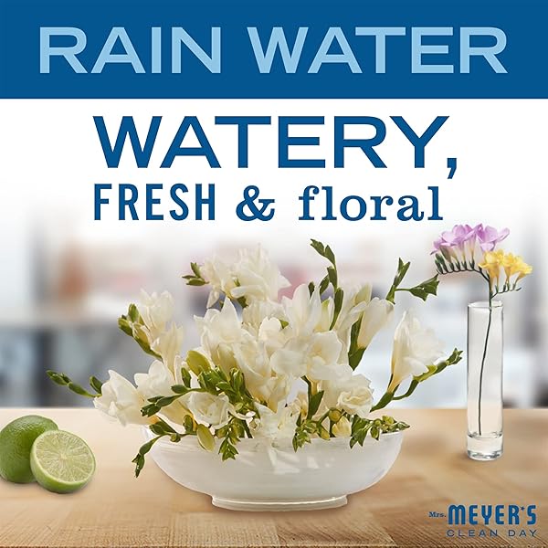 MRS. MEYER’S CLEAN DAY HAND SOAP, MADE WITH ESSENTIAL OILS, BIODEGRADABLE FORMULA, RAIN WATER, 12.5 FL. OZ
