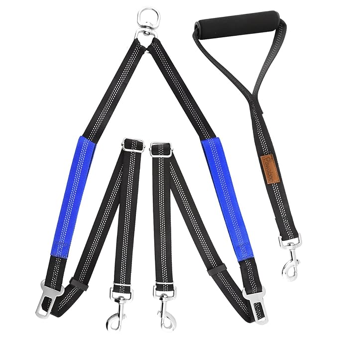 Pawaboo Doppelleine Hundeführleine, Verstellbar Reflektierende Hundeleine aus Reißfestem Nylon Doppel-Leine mit weichem Griff