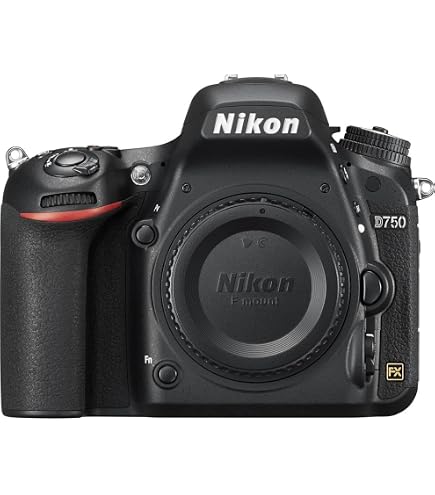 Amazon.com : Nikon D7500 DX-Format Digital SLR Body : Electronics