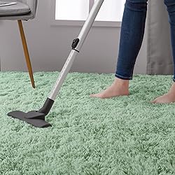 DweIke Fluffy Sage Green Rugs for Bedroom Living