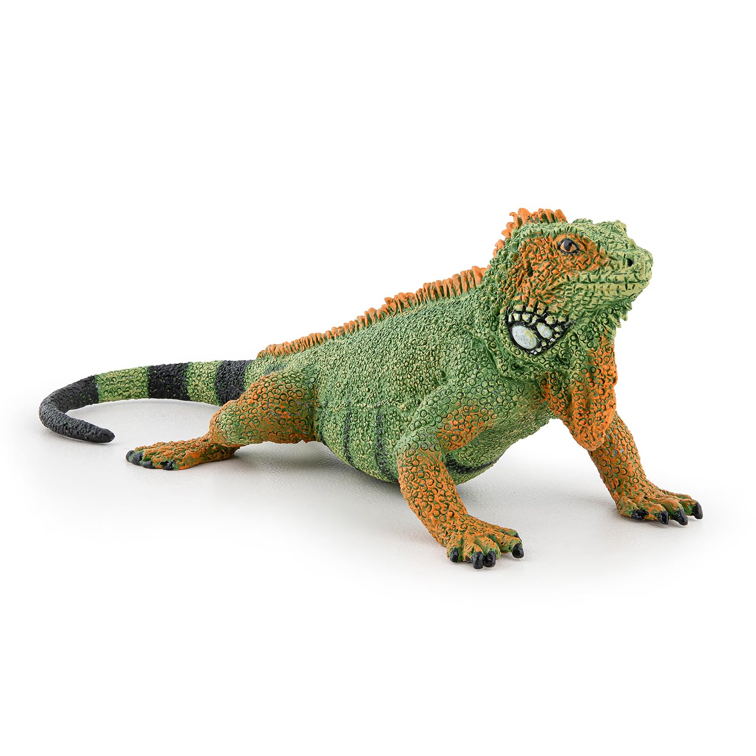 PAPO - Realistic Iguana Figure - Ages 3+ - Wild Life Collection - Educational Play Jungle Reptiles - Gift Idea Toy for Girls and Boys